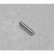 D28 Neodymium Cylinder Magnet, 1/8" dia. x 1/2" thick