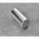 D8X0 Neodymium Cylinder Magnet, 1/2" dia. x 1" thick